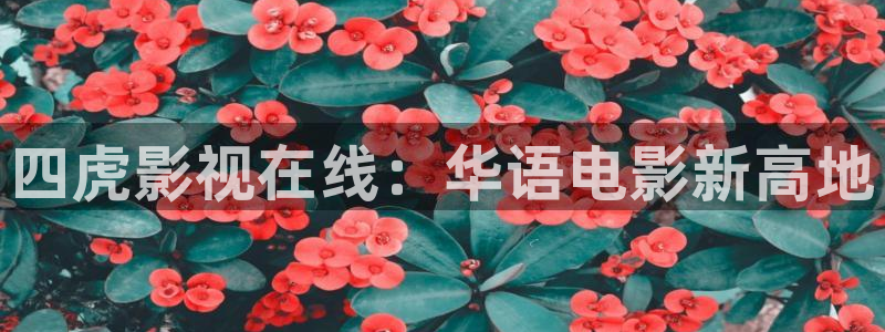 桔子视频h：四虎影视在线：华语电影新高地