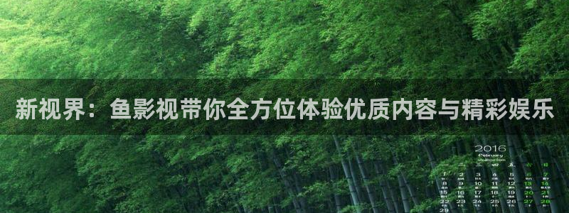 桔子午夜影院：新视界：鱼影视带你全方位体验优质内容与精彩娱乐