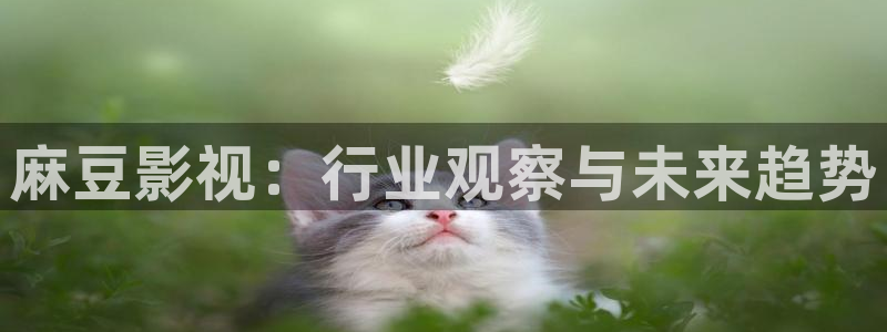 请问有没有小城桔子新视频：麻豆影视：行业观察与未来趋势