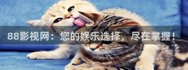 桔子午夜电影网：88影视网：您的娱乐选择，尽在掌握！