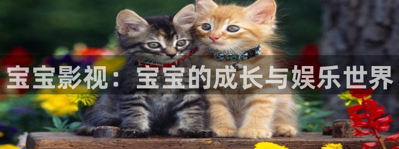 桔子视频网页版：宝宝影视：宝宝的成长与娱乐世界