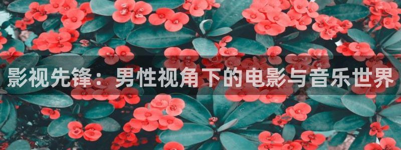 桔子视频一区：影视先锋：男性视角下的电影与音乐世界