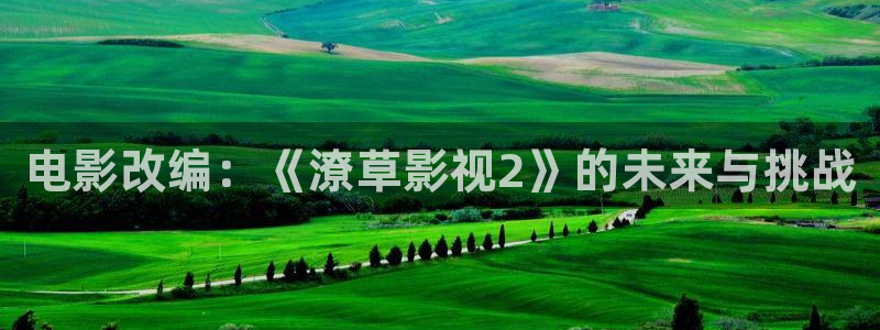 桔子视频免费观看电视剧版：电影改编：《潦草影视2》的未来与挑战