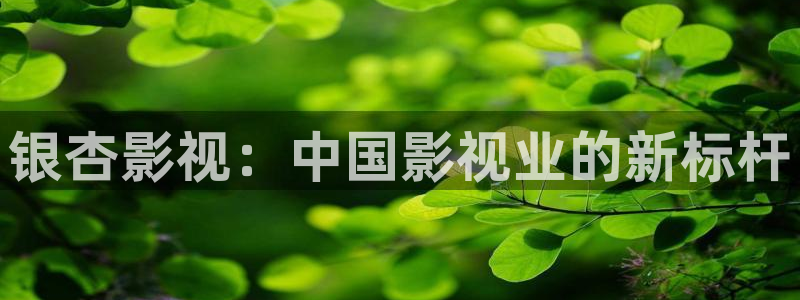 桔子tv视频：银杏影视：中国影视业的新标杆